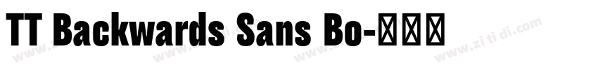 TT Backwards Sans Bo字体转换